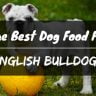 Best dog food for English bulldogs