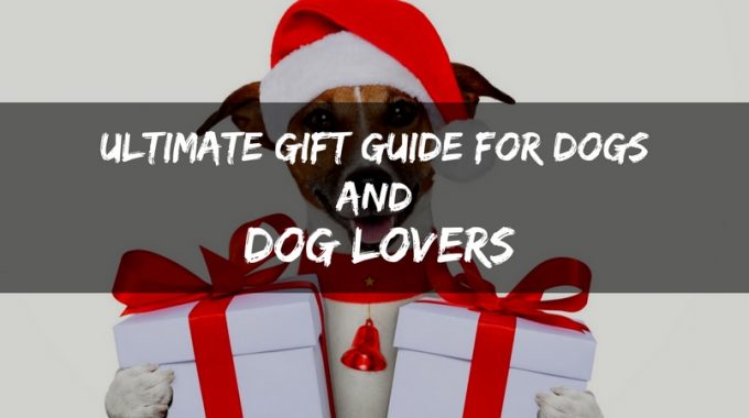 Ultimate gift guide for dogs and dog lovers thumb