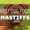 Best dog food for mastiffs
