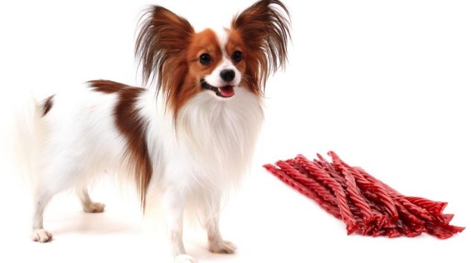 dog and twizzlers